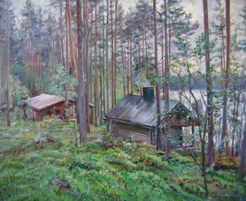 On a summer residence of my Finnish friend Matti in Juvalla. Loukianov Victor
