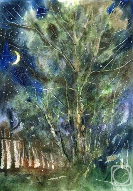 Knecht Aleksander. Light Night