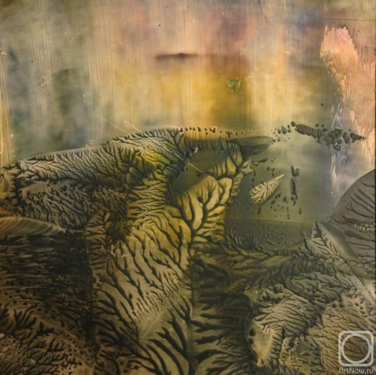 �������. ������� �����. ��� 1