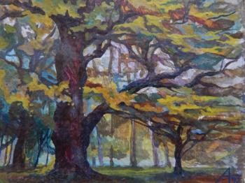 ������� ������������, �����