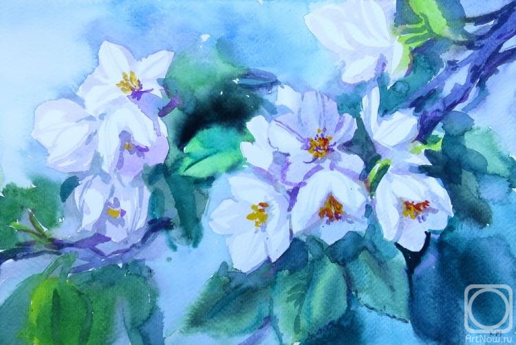 �������. ���������� ���������. ����� ������