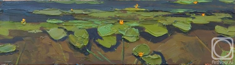 Golovchenko Alexey. Water lilies