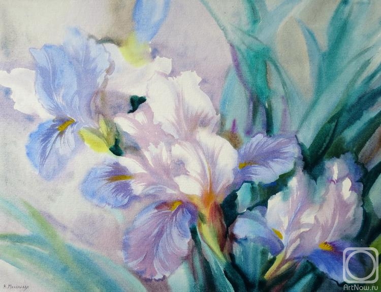 �������. ���������� ���������. ������� ������