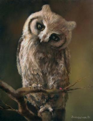 I don't eat strawberries, she runs fast...