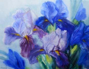 ������� ������� ����