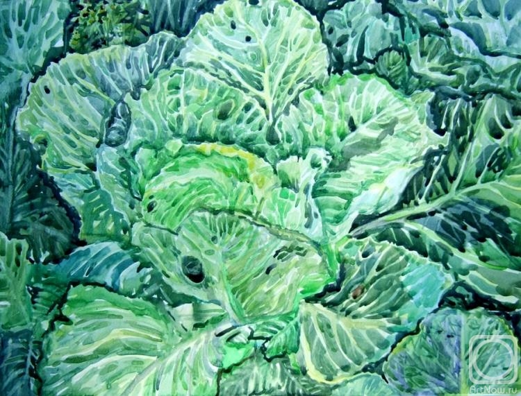 Shitikova Elena. Cabbage (etude)
