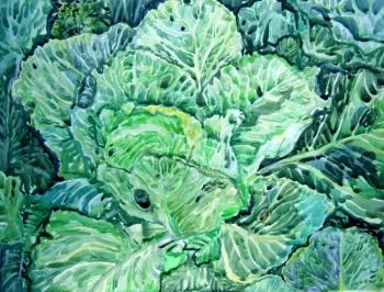 Cabbage (etude). Shitikova Elena