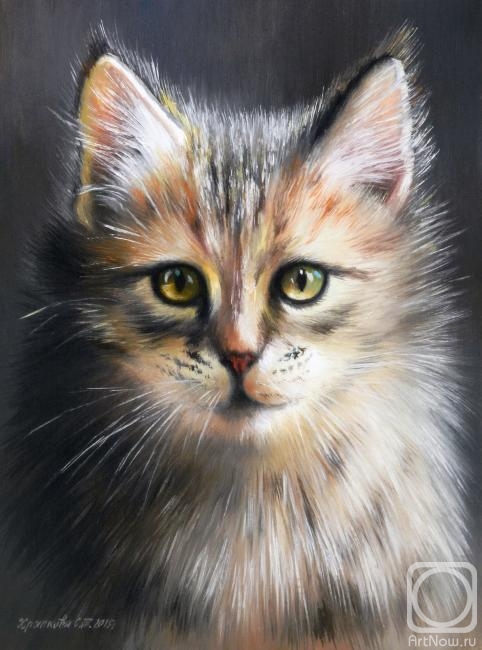 ������� ������ �� ������. �������� ��������. ������