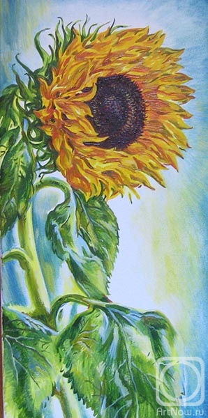 Rakutov Sergey. Sunflower