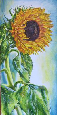 Sunflower. Rakutov Sergey