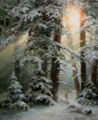 Winter Forest. Shustin Vladimir