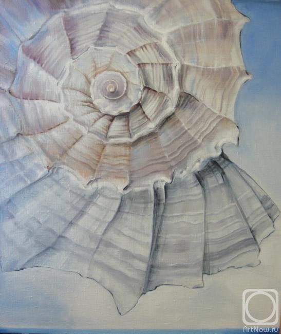 ������� ������ �� ������. ������ ����. ������� ��� ��������