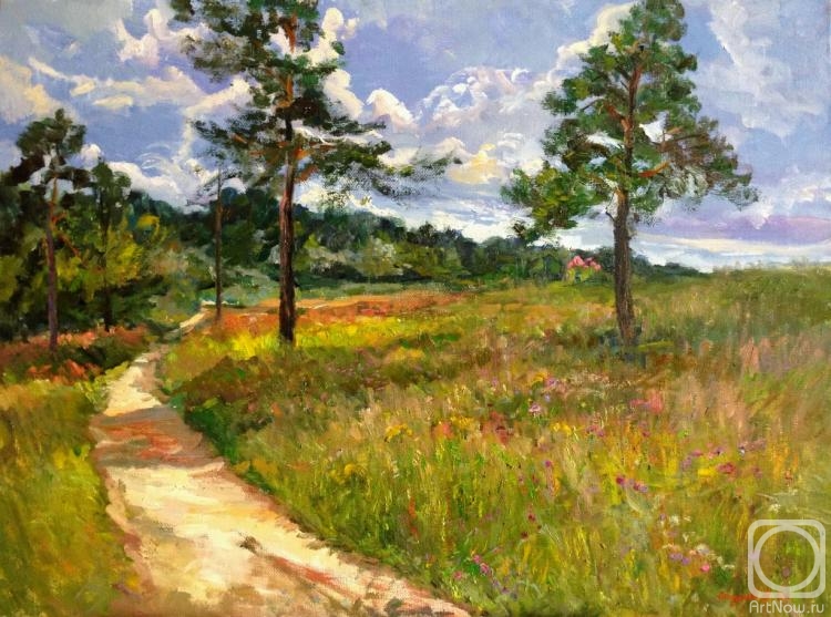 Solodilova Natalia. Pine trees in the field