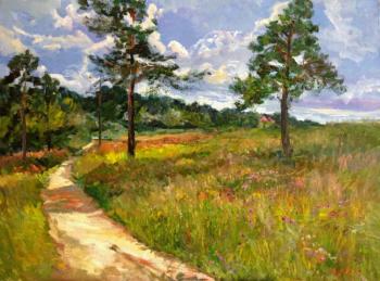Pine trees in the field. Solodilova Natalia