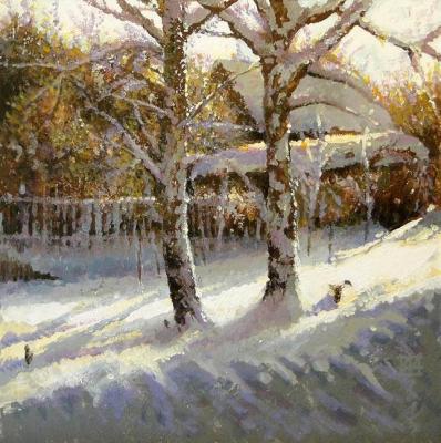 Andrianov Andrey Yuryevich. White light