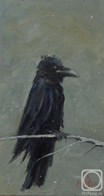 �������. ���������� �������. ������