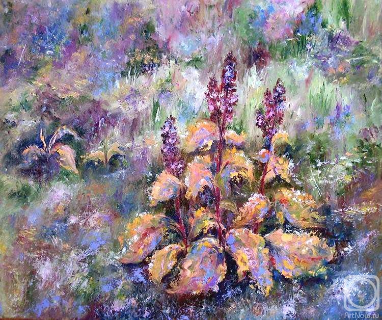 ������� ������ �� ������. ������ ������. ������ ������ �������