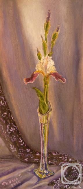 �������. ������ �������. � ������, � �������