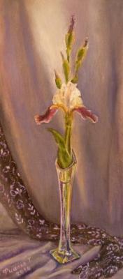 � ������, � ������� (��-���). ������ �������