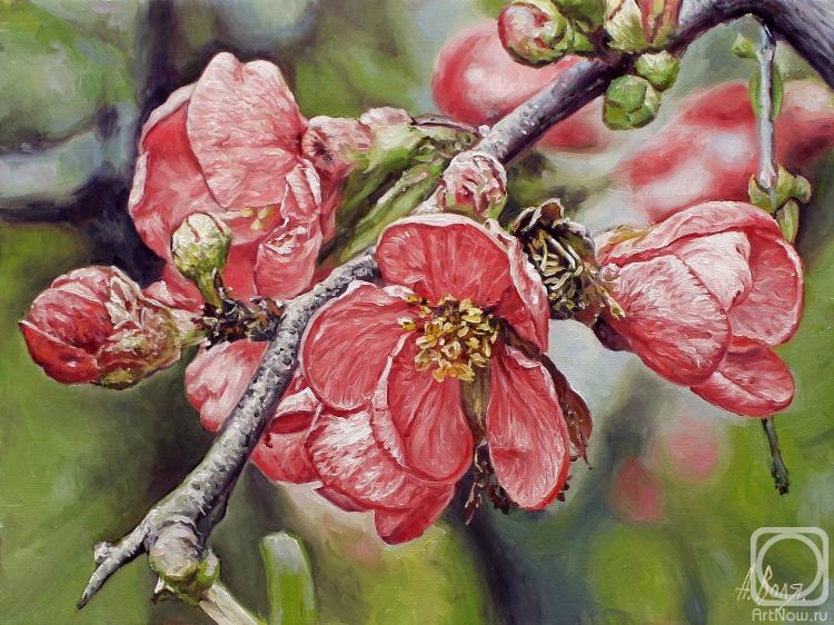 ������� ������ �� ������. ���� ���������. ��������