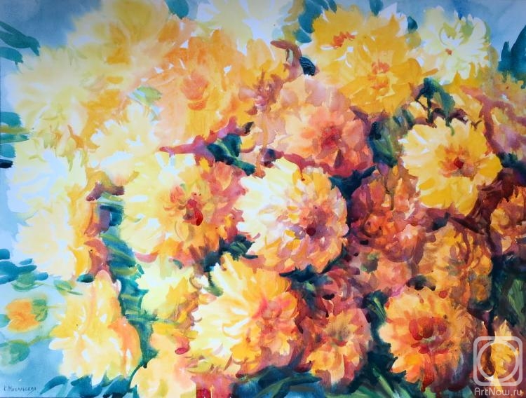 �������. ���������� ���������. ������