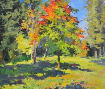 Park Manor N.A.Olenin