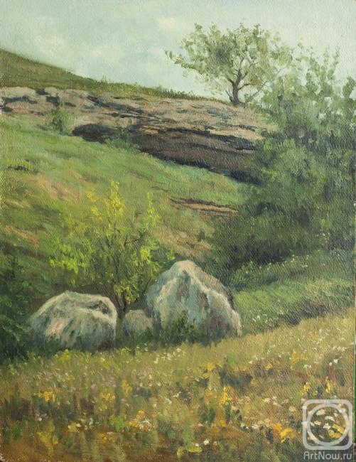 Bravkov Vladimir. The Kingdom of St. John's Wort