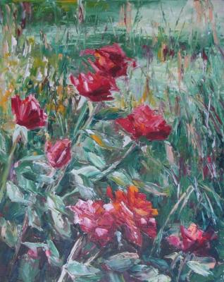 Roses. How I spent summer. Kruglova Svetlana