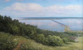 Ulyanovsk. View on the Volga river. Panov Aleksandr
