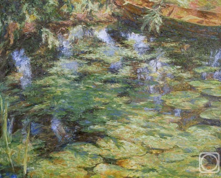 Nizamov Robert. Water lilies