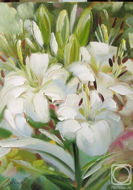 ������� ������ �� ������. ������ �������. �����