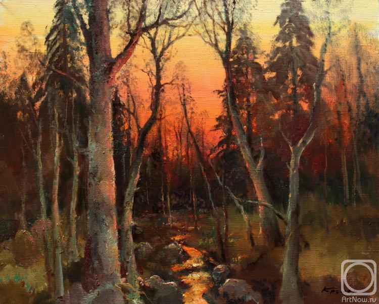 Kremer Mark. Evening forest. Stream at sunset