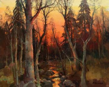 Evening forest. Stream at sunset. Kremer Mark
