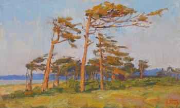 ������� ������������ ������