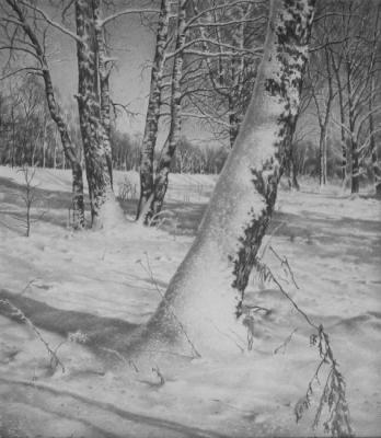 ��� ��������. ��������� �������