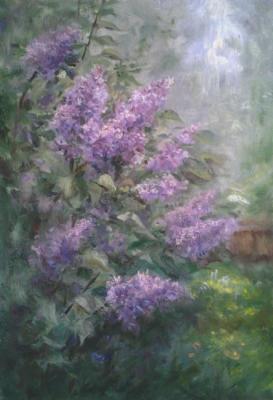 Lilac bush. Izyumskiy Oleg
