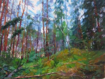At the edge of the forest. Voronov Vladimir