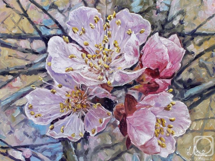 Цветущая яблоня» картина Воли Александра маслом на холсте — заказать на  ArtNow.ru