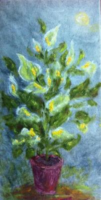 ������� �������� �������