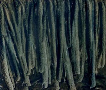 Картина «Мертвый лес. Лист 1»