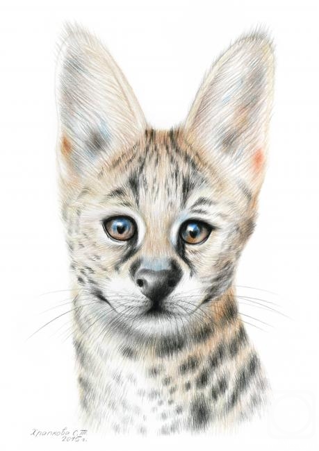 �������. �������� ��������. ������