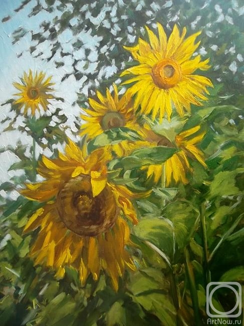 ������� ������ �� ������. ������� ������. ������ ����!