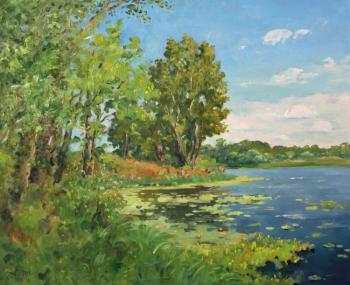 Summer Pond. July. Alexandrovsky Alexander