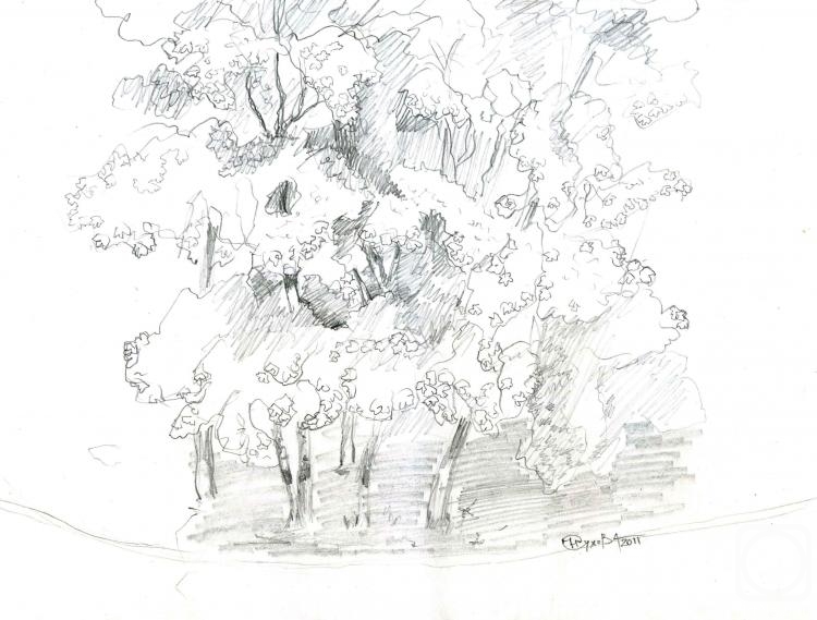 Sukhova Natalya. Untitled