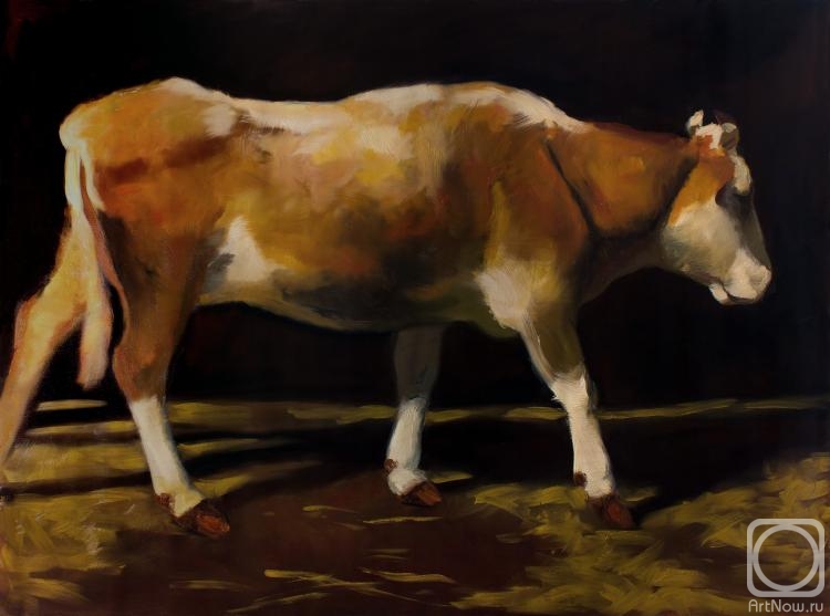 Nizamov Robert. Cow