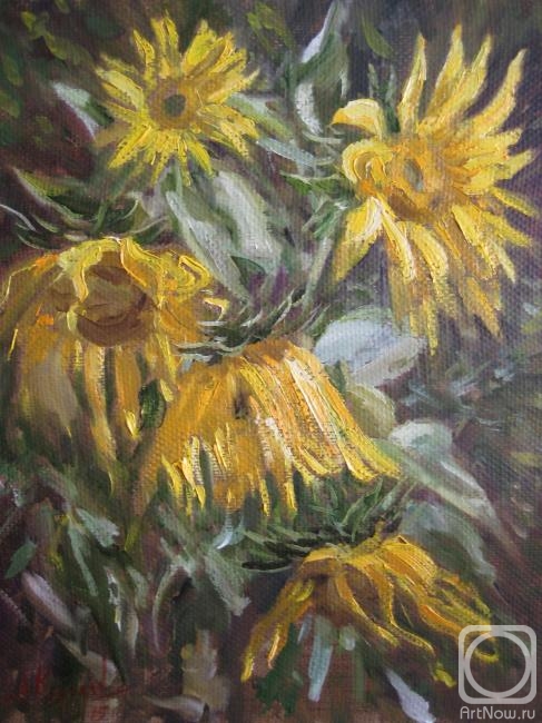 ������� ������ �� ������. ������� ������. ������� ����������