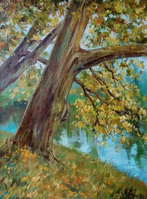 Oaks. The beginning of autumn (Leaves On The Water). Gerasimova Natalia