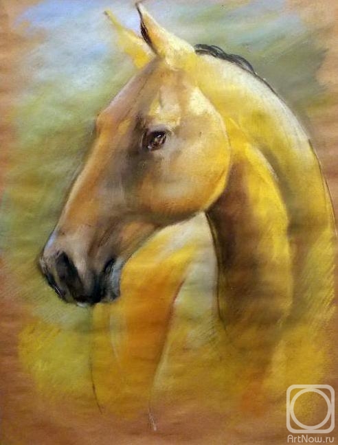 Gerasimova Natalia. Horse