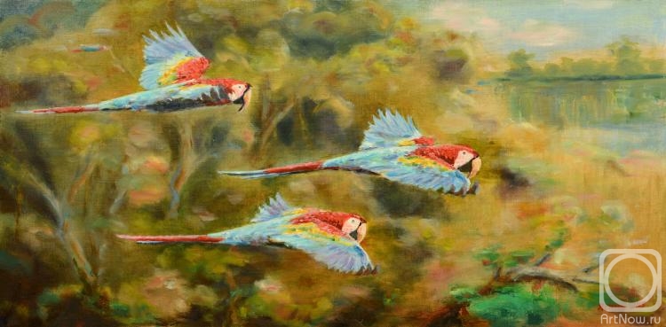 ������� ������ �� ������. ����� ��������. ����� ��� �������� �����