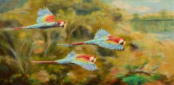 Flight over the rainforest (Scarlet Macaw). Yaskin Vladimir